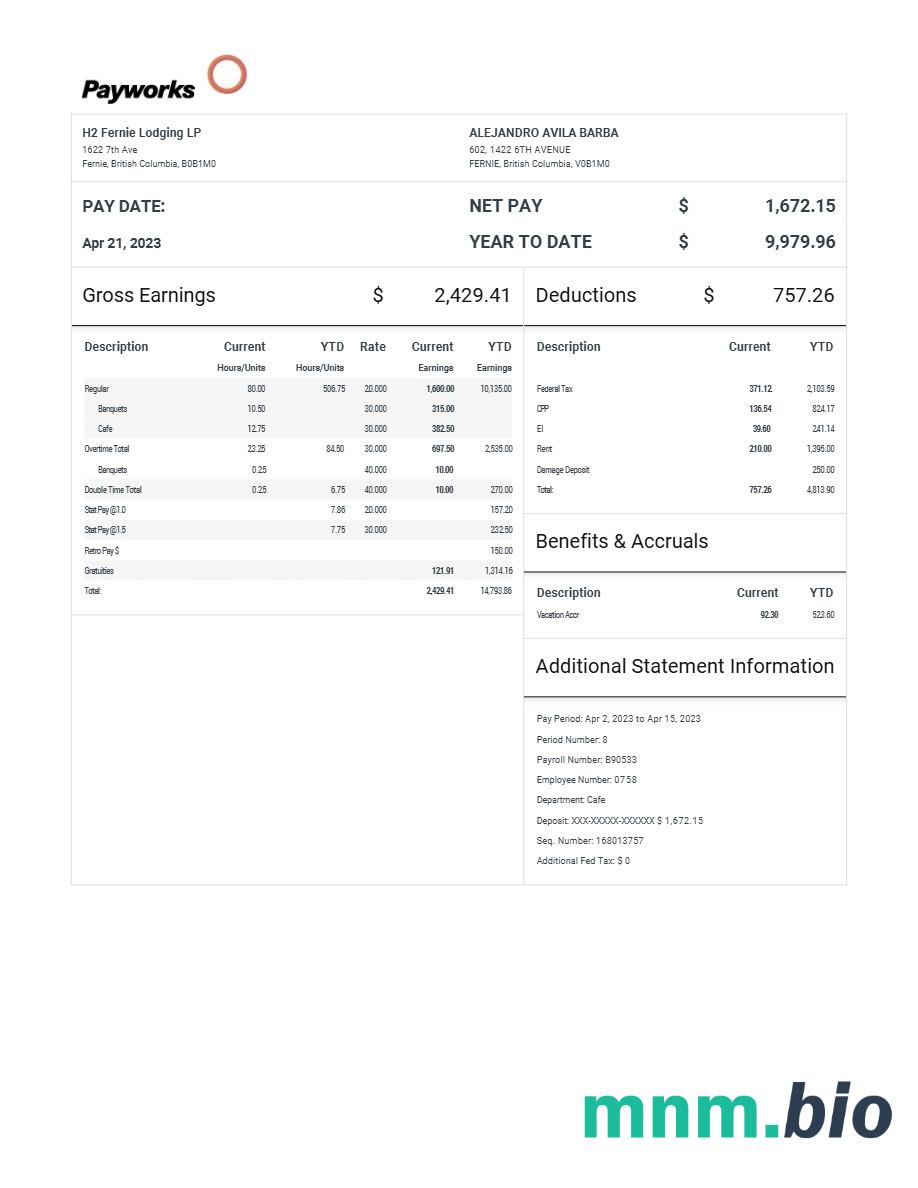 H2 Fernie Lodging LP pay statement template in Word and PDF formats
